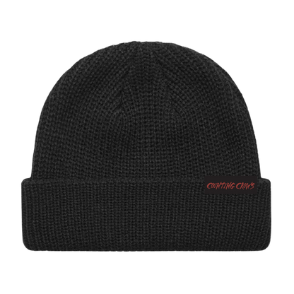 Recovering The Satellites Beanie